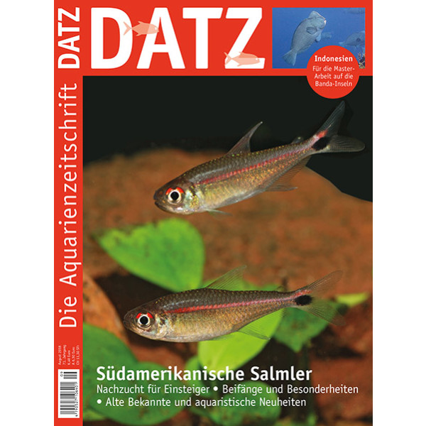 DATZ 2018 - 09 (September)