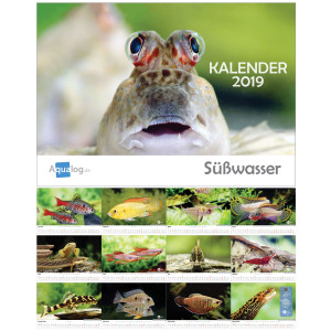 Kalender 2019 - Süßwasser-Aquaristik