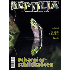 Reptilia 133 - Scharnierschildkröten...