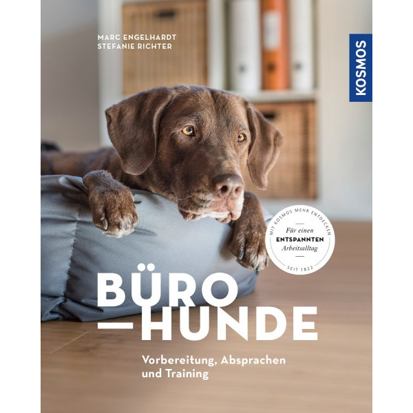 Bürohunde - Vorbereitung, Absprachen und Training