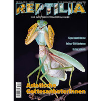 Reptilia 134 -  Asiatische Gottesanbeterinnen (Dezember 2018/Januar 2019)
