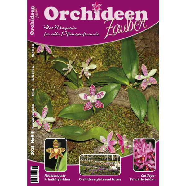 Orchideen Zauber 6 (November/Dezember 2018)