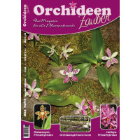Orchideen Zauber 6 (November/Dezember 2018)