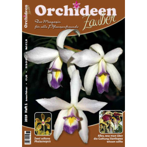 Orchideen Zauber 1 (Januar/Februar 2019)