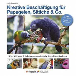 Kreative Beschäftigung für Papageien, Sittiche...