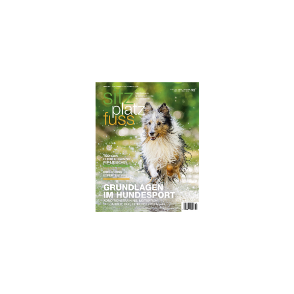 Bookazin: SitzPlatzFuss 32