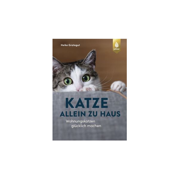 Katze allein zu Haus