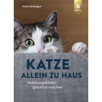 Katze allein zu Haus