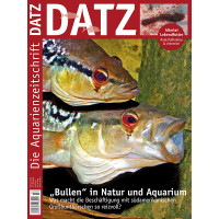 DATZ 2019 - 02 (Februar)