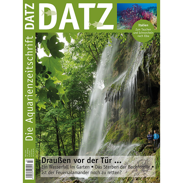 DATZ 2019 - 03 (März) box