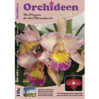 Orchideen Zauber 2 (März/April 2019)
