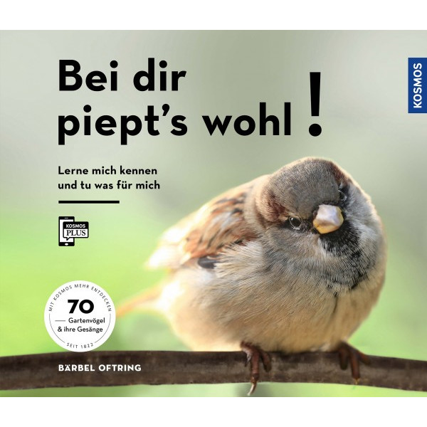 Bei dir piept´s wohl!