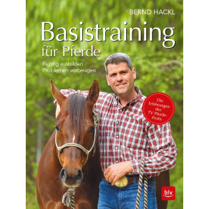 Basistraining für Pferde