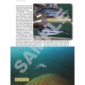 Tanganyika cichlids in their natural habitat 4th edition