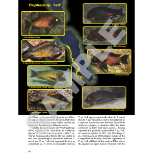 Tanganyika cichlids in their natural habitat 4th edition