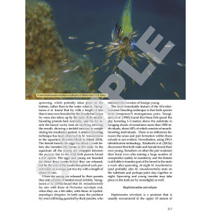 Tanganyika cichlids in their natural habitat 4th edition