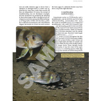 Tanganyika cichlids in their natural habitat 4th edition