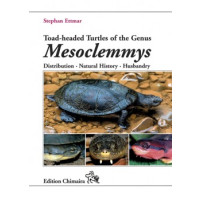 Toad-headed Turtles of the Genus Mesoclemmys