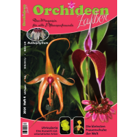 Orchideen Zauber 4 (Juli/August 2014)
