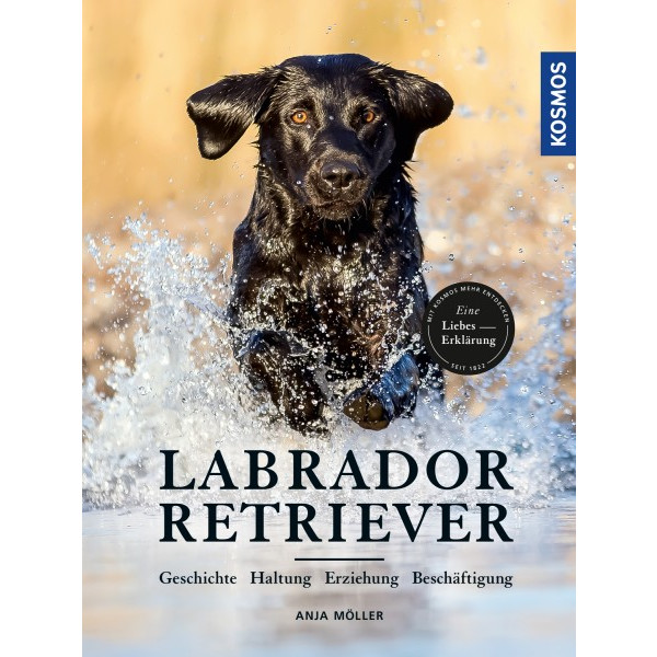Labrador Retriever - Geschichte, Haltung, Erziehung, Beschäftigung