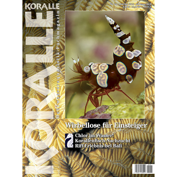 KORALLE 116 - Wirbellose (April/Mai 2019)