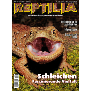 Reptilia 136 - Schleichen (April/Mai 2019)