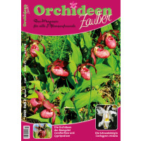 Orchideen Zauber 3 (Mai/Juni 2019)