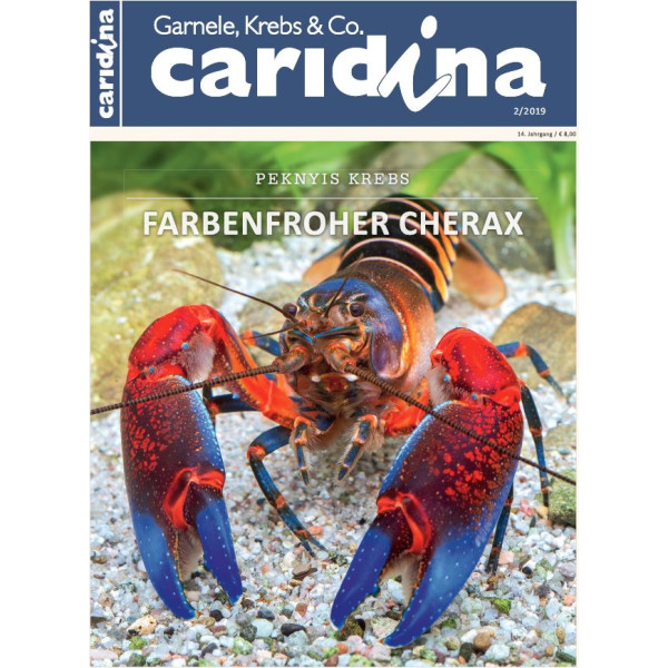 Caridina 2/2019