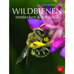 Wildbienen entdecken &amp; sch&uuml;tzen