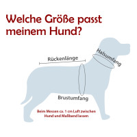 CROCI HUNDE REGENMANTEL RAINDROP BLUE