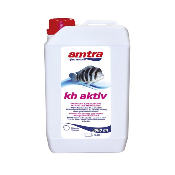 amtra KH AKTIV 3000 ML