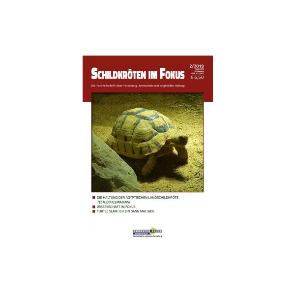 Schildkröten im Fokus 2-2019
