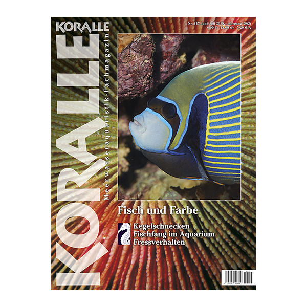 KORALLE 117 - Fisch & Farbe (Juni/Juli 2019)