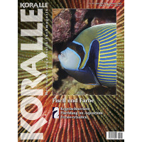 KORALLE 117 - Fisch & Farbe (Juni/Juli 2019)