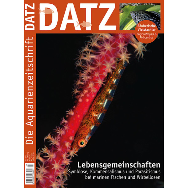 DATZ 2019 - 07 (Juli)