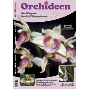 Orchideen Zauber 4 (Juli/August 2019)