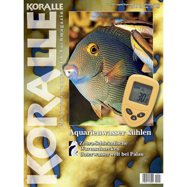 KORALLE 118 - Aquarienwasser kühlen (August/September 2019)