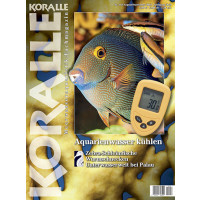 KORALLE 118 - Aquarienwasser kühlen (August/September 2019)