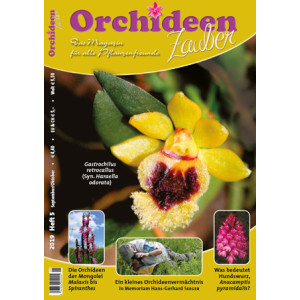Orchideen Zauber 5 (September/Oktober 2019)