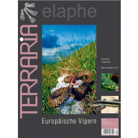 Terraria 47- Europäische Vipern (Mai/Juni 2014)