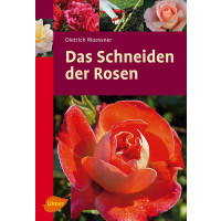 Schneiden der Rosen TB 57