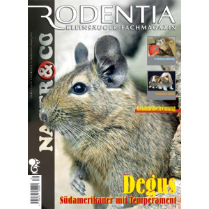 Rodentia 79- Degus Südamerikaner mit Temperament...