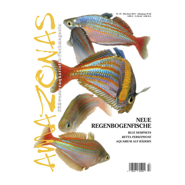 Amazonas 53- Neue Regenbogenfische (Mai/ Juni 2014)