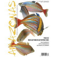 Amazonas 53- Neue Regenbogenfische (Mai/ Juni 2014)