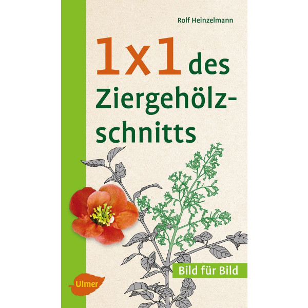 1x1 des Ziergehölzschnitt