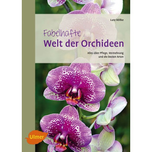 Fabelhafte Welt der Orchidee