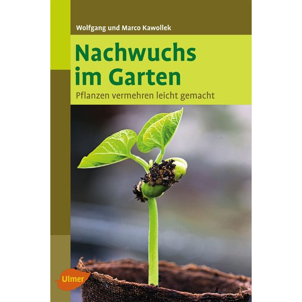 Nachwuchs im Garten