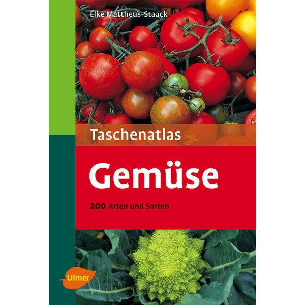 TA Gemüse