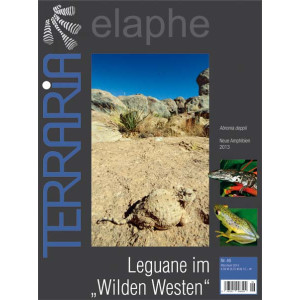 Terraria 46 - Leguane im "Wilden Westen"