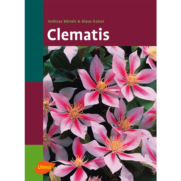 Clematis box